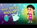 Download Lagu Why Do We Hiccup? | The Dr. Binocs Show | BEST LEARNING VIDEOS For Kids | Peekaboo Kidz
