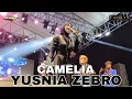 Download Lagu CAMELIA - YUSNIA ZEBRO - FAMILYS