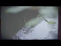 Billow Observatory - Sink The Outlook (Official Video)