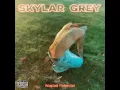 Motivation - Skylar Grey