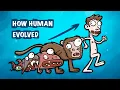 Human evolution