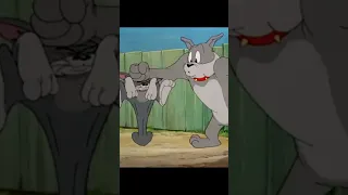 شطحات الأسبوع ٢ 