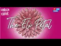 ELI PETAL FLOWER WREATHS UNIQUE IN THE CREEK TUTORIAL
