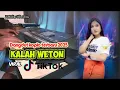 Download Lagu KALAH WETON - DANGDUT KOPLO TERBARU 2025 LAGU VIRAL TERBARU 2025