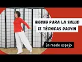 🔴DAOYIN Shi Er Fa ✅QIGONG para la salud 12 -Técnicas DAOYIN (modo espejo)