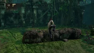 Uncharted Drakes Fortune دريك فورتشن 