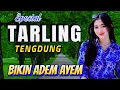 Download Lagu TARLING TENGDUNG ASIK BANGET - TARLING INDRAMAYU TEMANI PERJALANAN