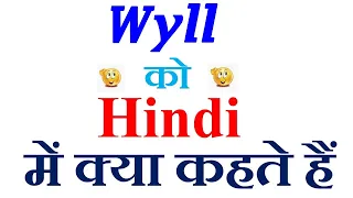 Wild meaning in hindi Wild ka matlab kya hota hai Wild in hindi