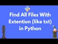 Find all files in directory with txt extension with Python