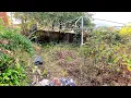 The Backyard of Death Bringing a whole new meaning to Garden Catastrophe
