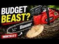 Harbor Freight BAUER 20V 10 Chainsaw - Honest Review After Using It