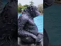 Download Lagu Febri's Hotel\u0026Spa full tour - Kuta, Bali Indonesia 🇮🇩 #febris #bali #kuta #spa #hotel #indonesia