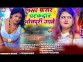 Download Lagu #New Hits Bhojpuri Songs 2025 #shivanisinghbhojpuri Viral Viral Bhojpuri Songs15 Hits