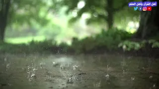 القارئ ابو هريرة الليبي يبدع إبداعا لا حدود له من سورة الإنسان 