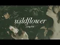 貌美如花：yung kai - wildflower (CHN/ENG Lyrics) 中英歌詞