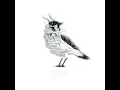For Your Sake - Typecast