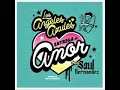 Entrega De Amor Los Angeles Azules Feat. Saul hernandez