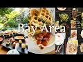 Foodie vlog Bay Area Bites Discovering San Jose s Food Scene