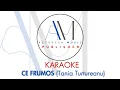 Download Lagu Karaoke - Ce frumos (Tania Turtureanu)