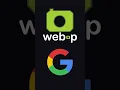 JPG vs PNG vs WEBP vs GIF vs SVG