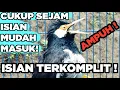 Download Lagu Suara Jalak Suren Gacor untuk Pancingan - FULL ISIAN TERBAIK paling AMPUH buat MASTERAN