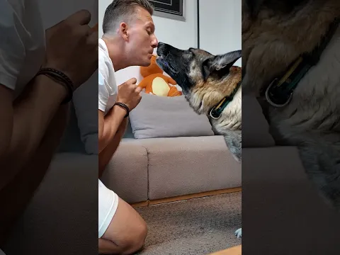 Fais cet exercice et dis moi si ça a marché avec ton chien
