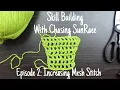 Increasing Mesh Stitch Skill Building SunRaee Ep 2