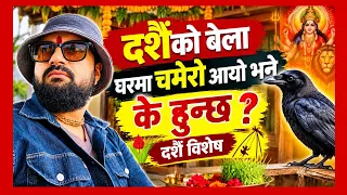 दशैंको बेला घरमा चमेरो आयो भने के हुन्छ ? दशैं बिशेष सन्दर्भ