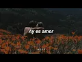 Grupo Bryndis - La Chica Del Este [letra]