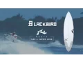 Download Lagu Rusty Black Bird Surfboard