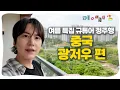 Download Lagu [SUB] 지상 최대 스케일! 중국 광저우 2박3일코스 완전정복⎟중국 광저우 여행 1시간 몰아보기