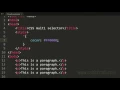 CSS All selector universal