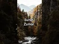 Download Lagu Surah Zumar for Relaxation ❤️| #quran #shortsfeed #shorts #trending #anxiety #viral #fyp #islamic