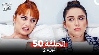موسم الكرز الحلقة 50 الجزء 2 مدبلج بالعربية 