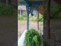 Download Lagu diam bukan berarti kalah.mengalah demi kebaikan itu sangat bijak .