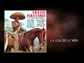 Vicente Fernández - La Ley de la Vida (Cover Audio)