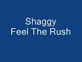 Shaggy Feel the rush