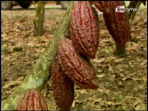Ecuador Agropecuario 09-02-2018