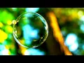 Download Lagu Morning Relaxing Music For Children - Childhood Memories (Hayfield)