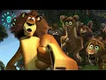 Alex Saves the Day | Madagascar