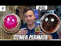 Download Lagu Permata Bagus, Jumbo, dan Langka ❗Koleksi Sultan di Pasar Rawabening ( Otnifa Permata )