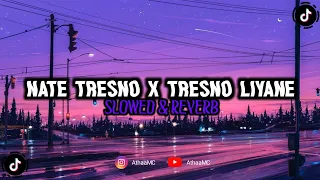 Download DJ Nate Tresno X Tresno Liyane (Slowed \u0026 Reverb)🎧 MP3