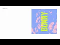 Tourist - Bunny (Official Audio)