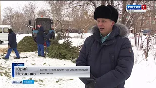 Омичи уже начинают избавляться от деревьев