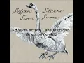 Sufjan Stevens - To Be Alone With You (Lyrics) HD