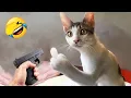 New Funniest Cats and Dogs Clips 2025😺🐶Try Not To Laugh🥰 Part 5