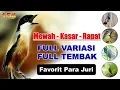 Bisa Tirukan Ini Pasti Serem ❗ Masteran Cendet Full Tembakan Kombinasi Paling Dicari