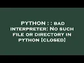 PYTHON bad interpreter No such file or directory in python
