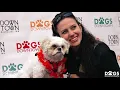 Dogs Downtown in Rochester Minnesota