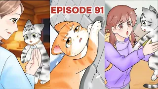 Touching Cat Stories Full of Love and Hope  | Animation And Real Life